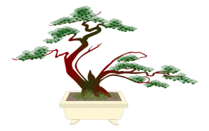 Bonsai aesthetic values