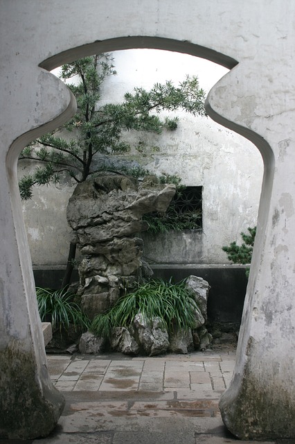 Classical period of bonsai